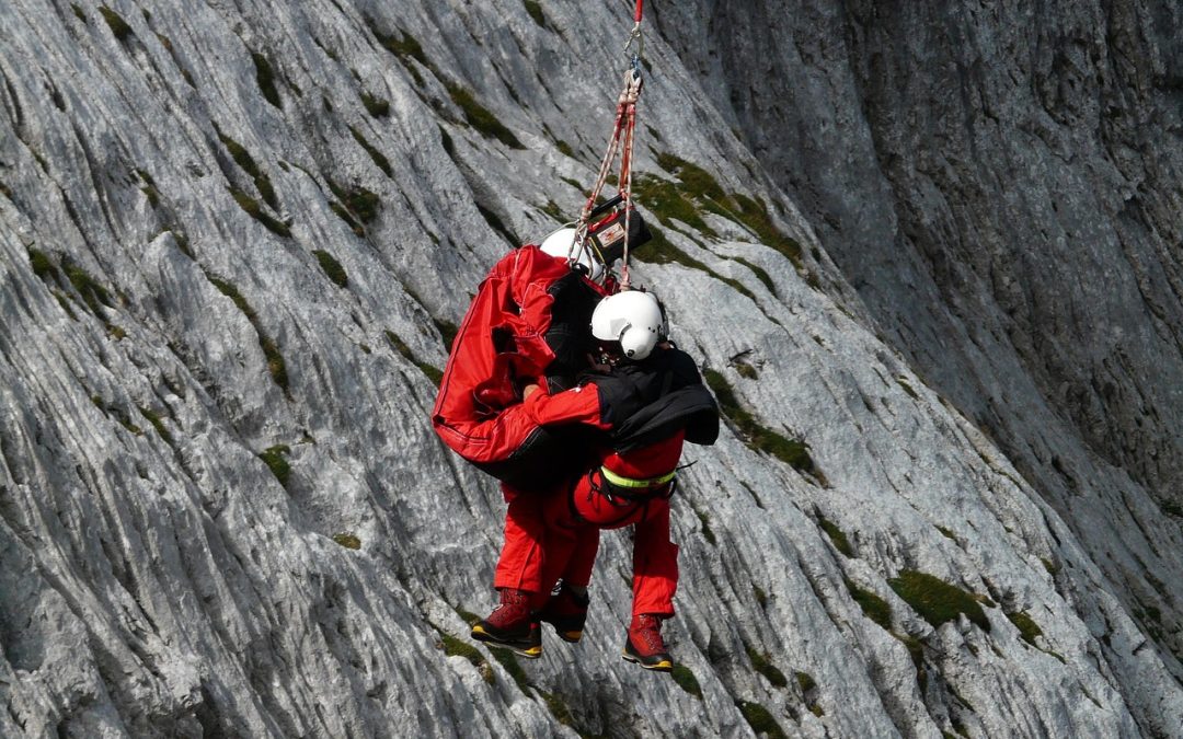 Evakuasi Ular di Hutan Kota